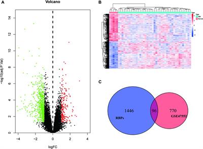 Identification and Validation of a Novel RNA-Binding Protein-Related Gene-Based Prognostic Model for Multiple Myeloma